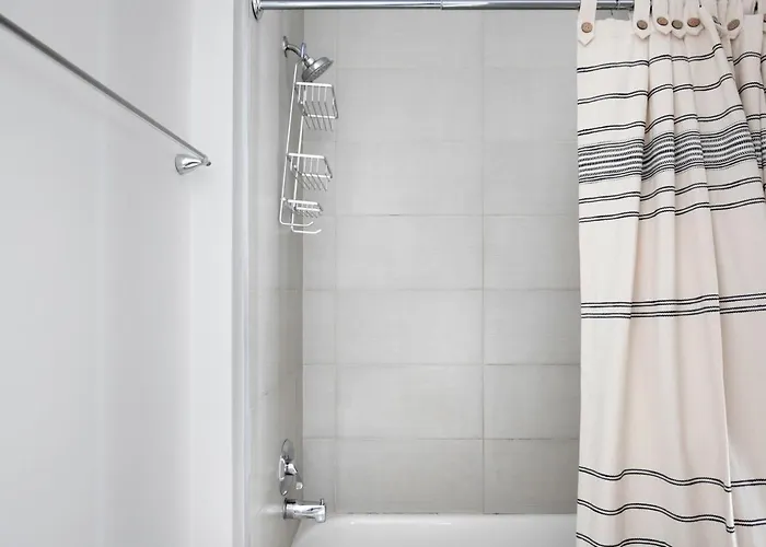 South Loop 1br Nr L Grant Park Chi-804 Apartment *