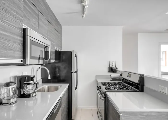 South Loop 1br Nr L Grant Park Chi-804 Apartment Chicago