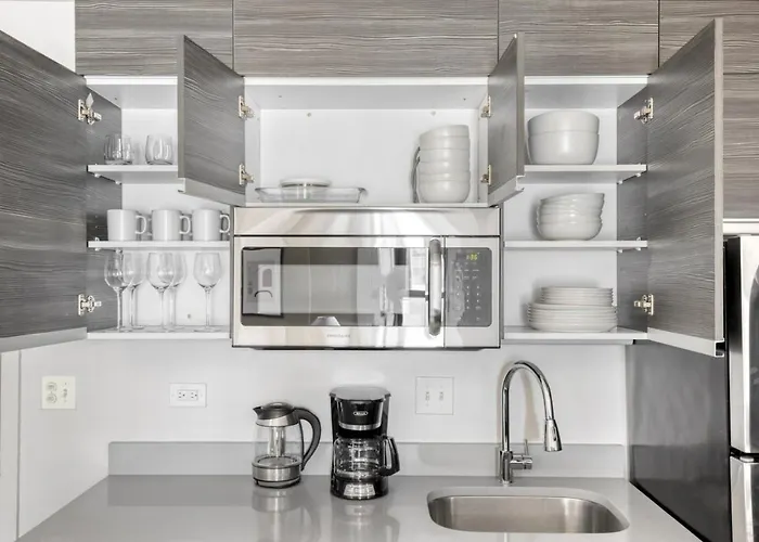 Apartment South Loop 1br Nr L Grant Park Chi-804 Chicago